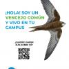 Cartel de la campaña sobre aves en los campus públicos de Aragón