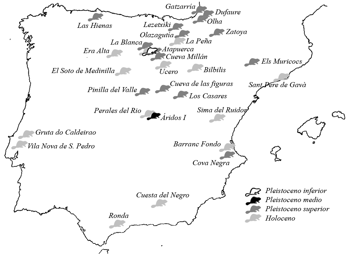 Mapa, castor europeo en la Península Iberica 