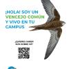 Cartel de la campaña sobre aves en los campus públicos de Aragón