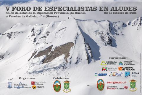 Cartel del V Foro de Aludes