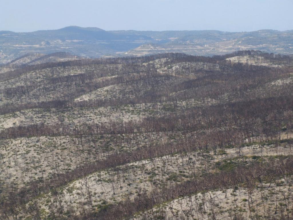 Incendio en Aragón. Archivo