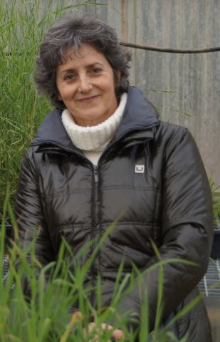 Pilar Catalan, catedrática de Biología Campus de Huesca Pilar Catalan, catedrática de Biología Campus de Huesca