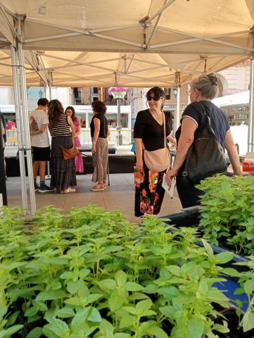 Feria del Libro de Huesca