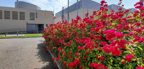 Vicerrectorado del Campus de Huesca