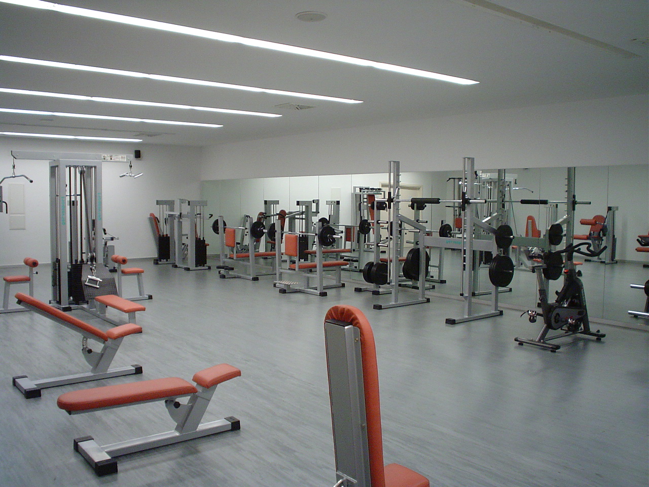 imagen de la sala de musculación