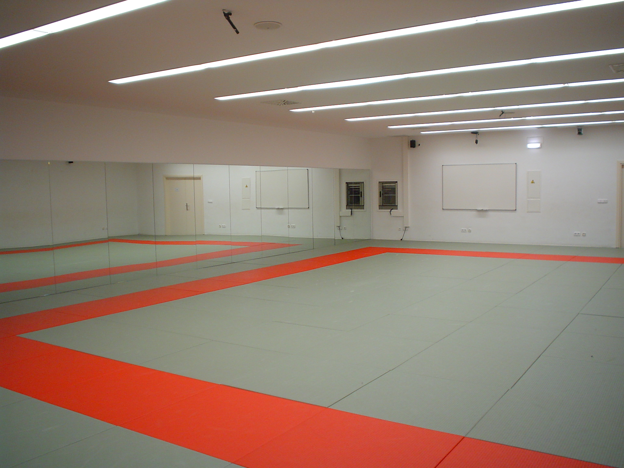 imagen del tatami